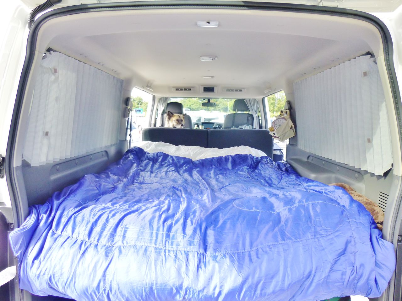 協力的 修正する アスペクト 車 ドア 開けっ放し