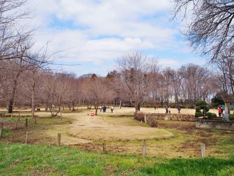 新座市総合運動公園でお散歩 の巻 ばってんバランス日記 新座市総合運動公園でお散歩 の巻 ばってんバランス日記