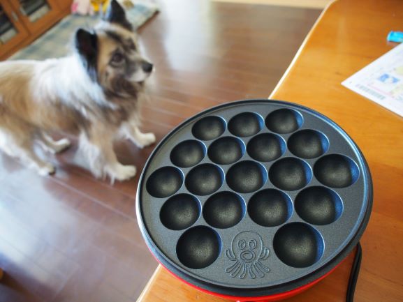 たこ嫌いのたこ焼きパーティー の巻 ばってんバランス日記 たこ嫌いのたこ焼きパーティー の巻 ばってんバランス日記