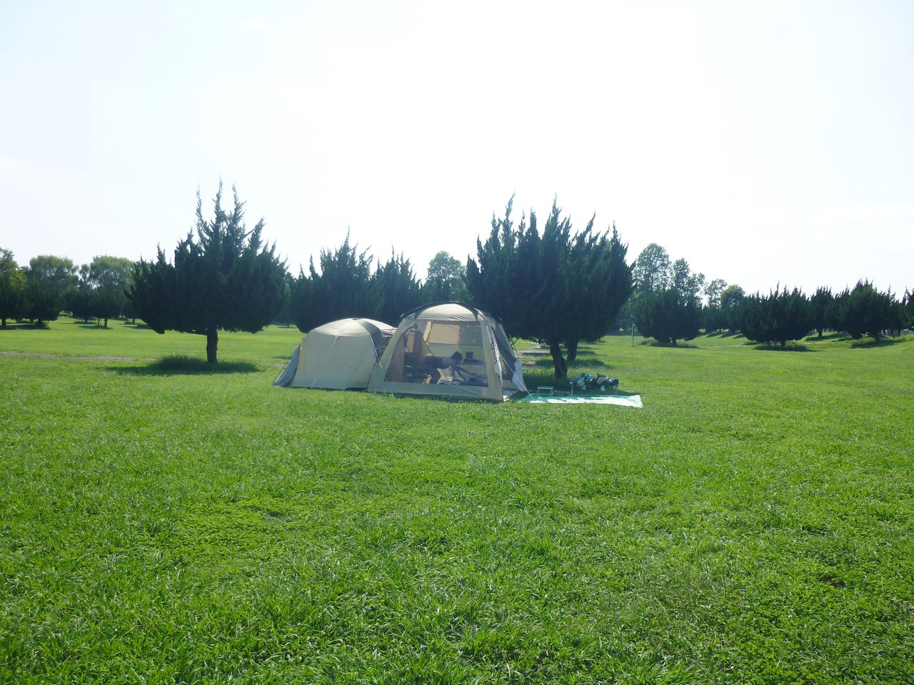 気持ちいい お昼寝 秋ヶ瀬公園 の巻 ばってんバランス日記
