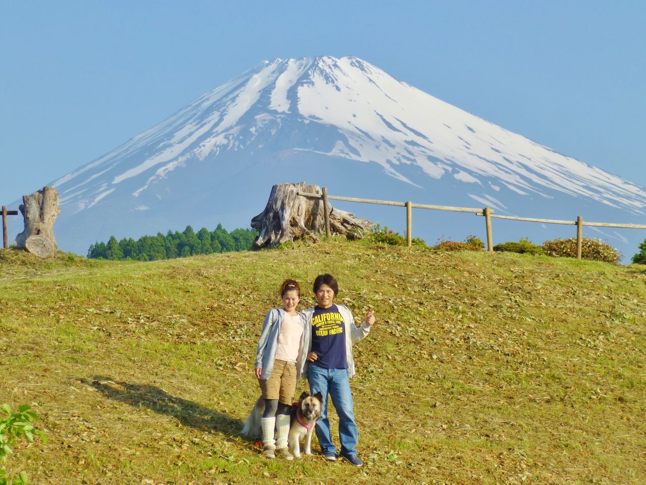 富士の裾野で春キャンプ 大野路ファミリーキャンプ場 の巻 ばってんバランス日記 富士の裾野で春キャンプ 大野路ファミリーキャンプ場 の巻 ばってんバランス日記