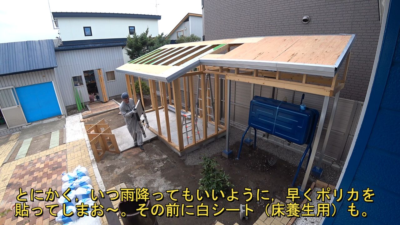 No512 R屋根シートと透明ポリカ貼り 習 北海道犬 とz Honda Z360 の日々