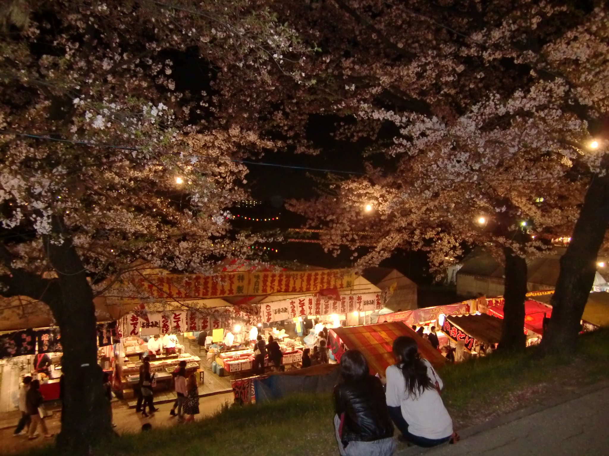 岡崎城の桜 休日の過ごし方 愛車はソラーラ