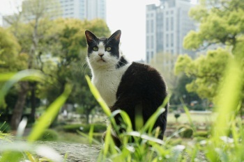 NEX-5_04