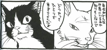 私という猫 イシデ電 旧機械 私という猫 イシデ電 旧機械