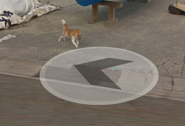 inu2