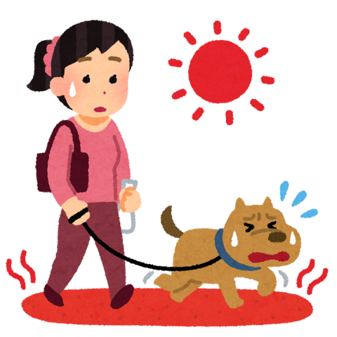 pet_sanpo_summer_atsui
