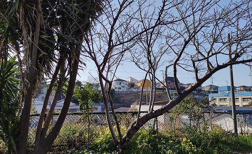 Baysidemeeting 2 Little Glee Monster 3月9日 Mvロケ地 乃木坂46 遠藤さくら