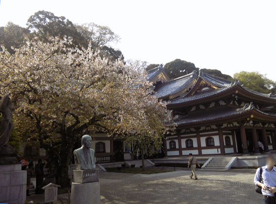 鎌倉 長谷寺 5 Baysidemeeting 1 鎌倉 長谷寺 5 Baysidemeeting 1