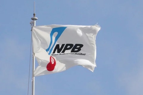 【プロ野球】NPB2軍に8～9球団参入名乗りか、5月から公募開始