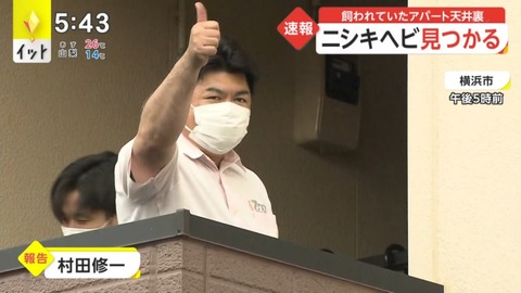 速報
