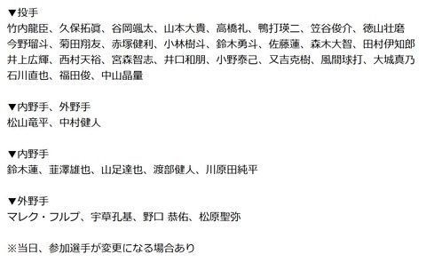 トライアウト (4)