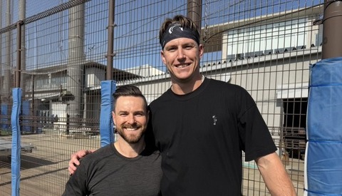 レイノルズヒュンメル