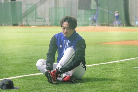 石田健大 (52)
