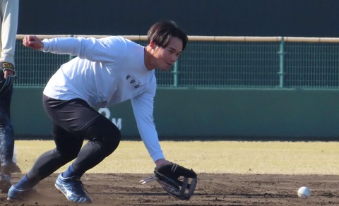 DeNA、加藤響が体調不良で今キャンプ初実戦の「青白戦」を欠場