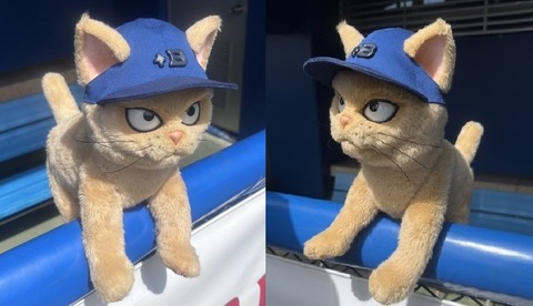DeNA・謎の猫：アニャリスト？Butterちゃん？「戦う顔してる」と話題に