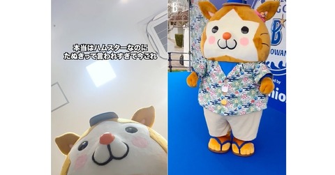 スターマン (16)