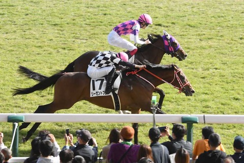 三浦大輔監督、13ヶ月ぶりJRA勝利も、フェニックスリーグで良かったのは勝又温史だけ