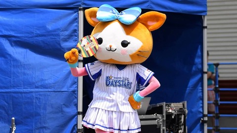 キララ (2)