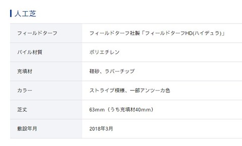 ハマスタ芝