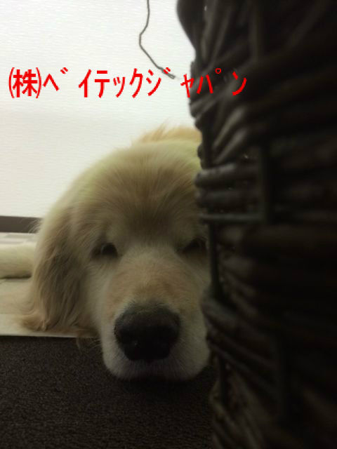BlogPaint