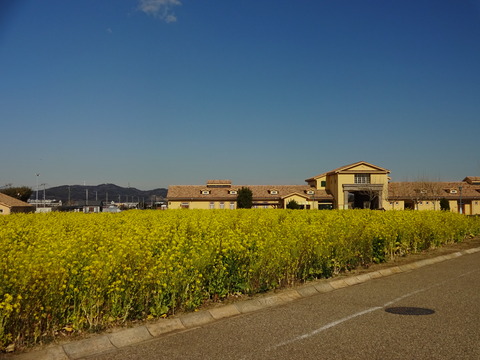 DSC02548