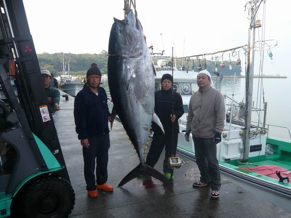 本マグロゲット Bay Tripブログ