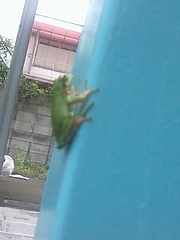 __ISO-2022-JP_B_GyRCMmhBfBsoQi0wMDM0LmpwZw____