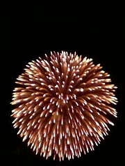 __ISO-2022-JP_B_GyRCMmhBfBsoQi0wNDEzLmpwZw____