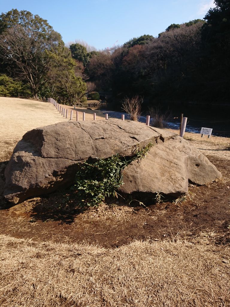 明治神宮 御朱印 東京都渋谷区 諸国神社の御朱印とご当地グルメ ゆたろう漫遊記 明治神宮 御朱印 東京都渋谷区 諸国神社の御朱印とご当地グルメ ゆたろう漫遊記