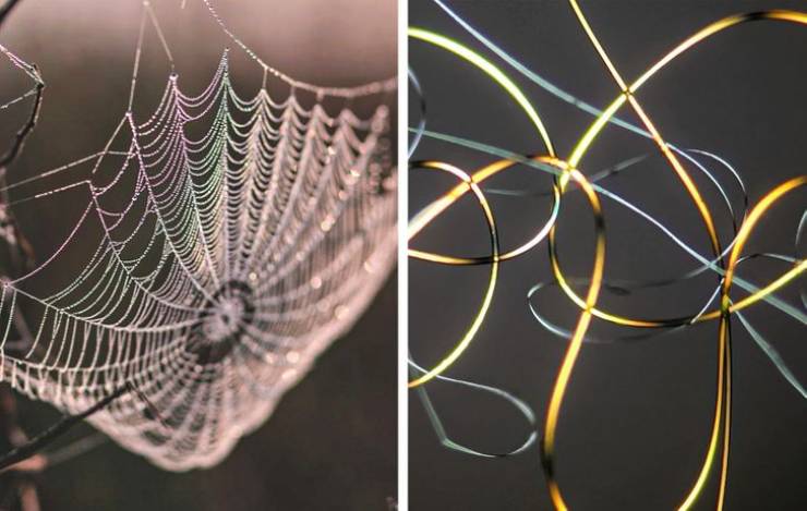 蜘蛛の糸を顕微鏡で見ると ネタ画像倉庫