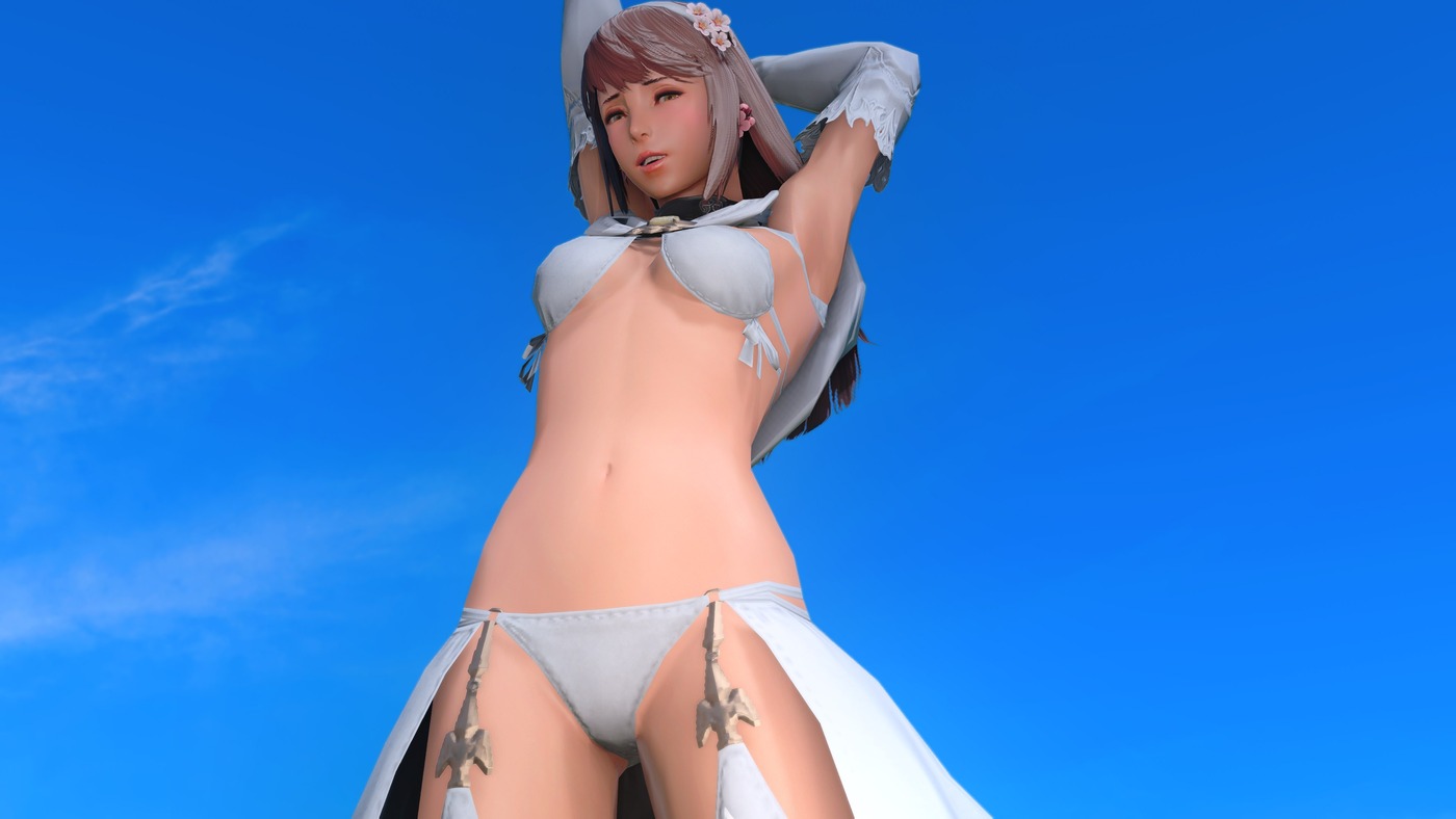 どこからともなくはるばると Ff14 ヒューラン ミッドランダー 用のお色気ssについて 2