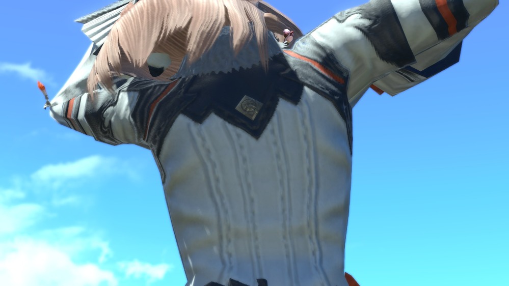 どこからともなくはるばると ｆｆ14 パッチ4 0で追加されたｉｄで入手できる装備について 2 伝統試練 バルダム覇道 と 解放決戦 ドマ城