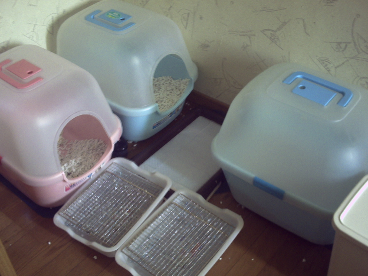 猫トイレについて ダメダメ飼い主の 猫 奮闘記