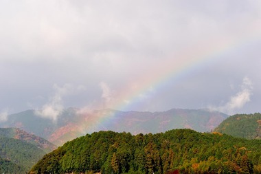221208DSC_5623_3650_s