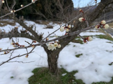 IMG_4673_s