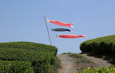 千財農園・美術館 9045