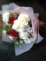 �������ζ�������