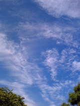 初秋の空