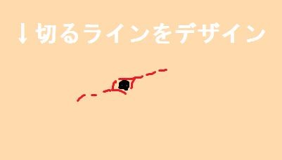 キャプチャ