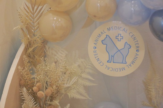 423326256_397712536251108_8731446755896170498_n