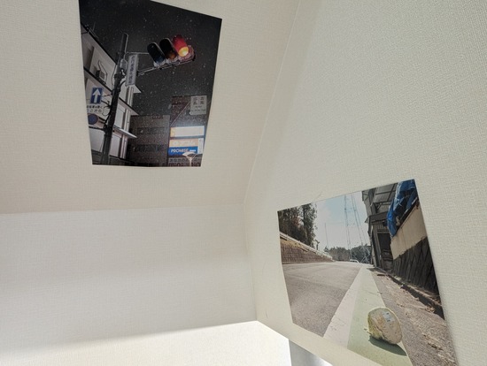 PXL_20240825_044451528