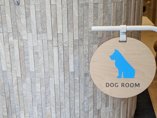 PXL_20240128_045442172