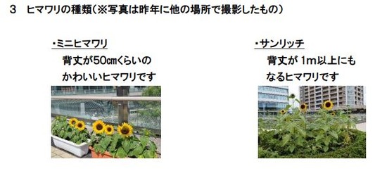キャプチャ