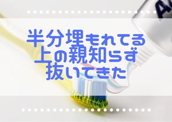 まとめ画像