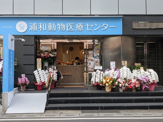 PXL_20240128_045755446