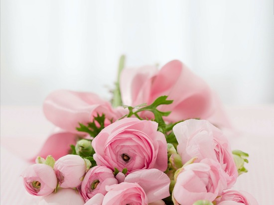 roses-142876_1920