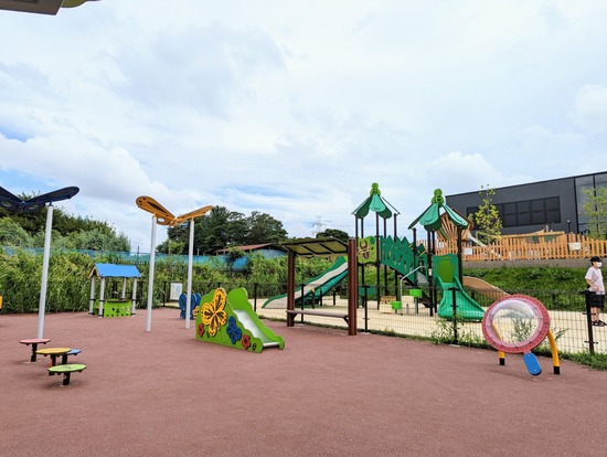 PXL_20220812_062322728~2