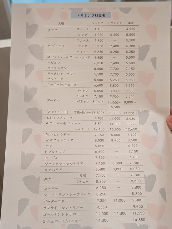 PXL_20240128_045415704