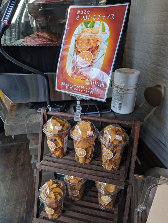 PXL_20230429_062354732